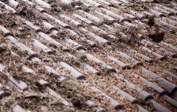 Alltami roof cleaning companies